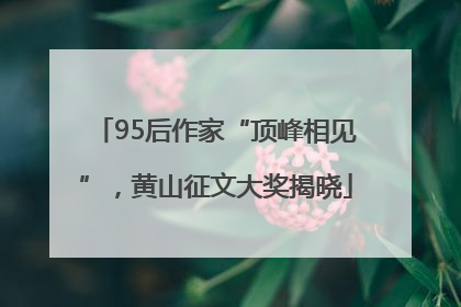 95后作家“顶峰相见”，黄山征文大奖揭晓