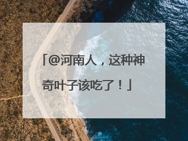 @河南人，这种神奇叶子该吃了！