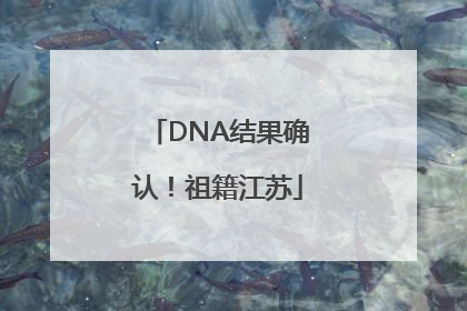 DNA结果确认！祖籍江苏