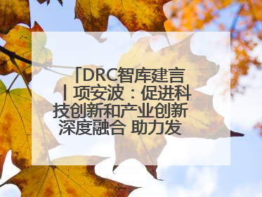 DRC智库建言丨项安波：促进科技创新和产业创新深度融合 助力发展新质生产力