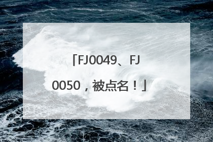 FJ0049、FJ0050，被点名！