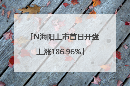 N海阳上市首日开盘上涨186.96%