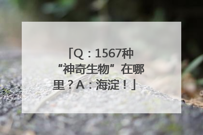 Q：1567种“神奇生物”在哪里？A：海淀！