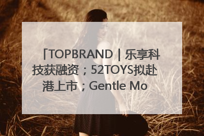 TOPBRAND｜乐享科技获融资；52TOYS拟赴港上市；Gentle Monster合作谷歌；Valentino传播官离职